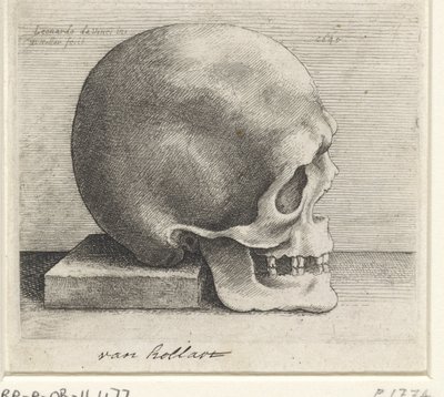 Anatomische studie van een schedel door Wenceslaus Hollar