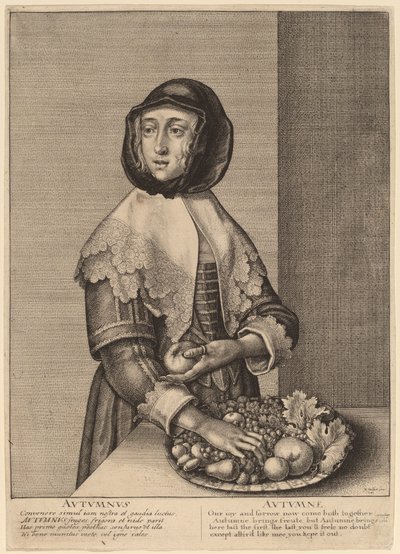 Herfst door Wenceslaus Hollar