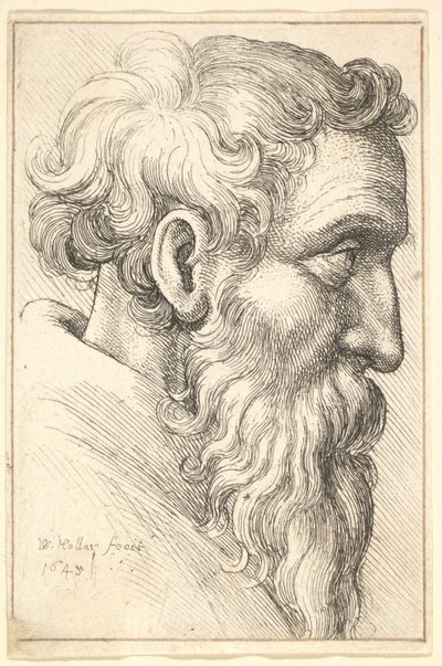 Bejaarde man met baard in profiel naar rechts, 1645 door Wenceslaus Hollar