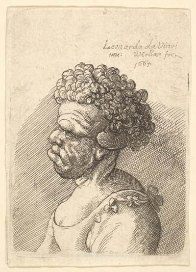 Buste van een misvormde vrouw met krullend haar in profiel naar links door Wenceslaus Hollar