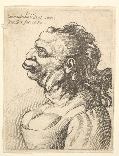 Borstbeeld van een vrouw met laag uitgesneden jurk, met uitstekende lippen, groei op haar voorhoofd, prominente..., 1660 door Wenceslaus Hollar