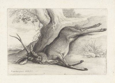 Doodgeschoten hert door Wenceslaus Hollar