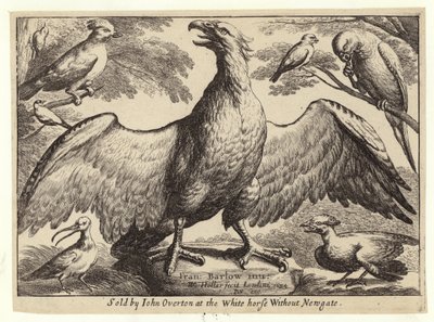 Adelaar en andere vogels door Wenceslaus Hollar