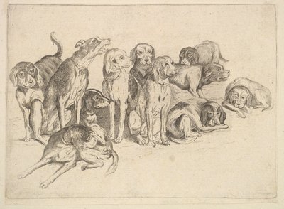 Elf honden door Wenceslaus Hollar