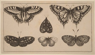 door Wenceslaus Hollar