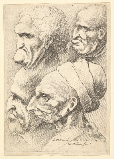 Vier groteske hoofden in profiel naar links door Wenceslaus Hollar