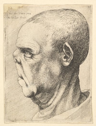 Groteske oude man met afgeplatte neus in profiel naar links door Wenceslaus Hollar