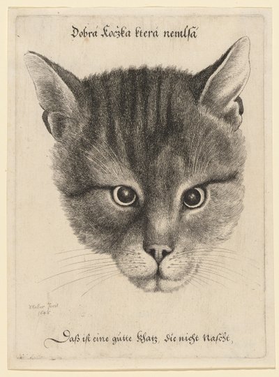  door Wenceslaus Hollar
