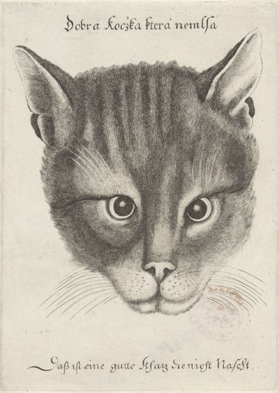Kop van een kat door Wenceslaus Hollar