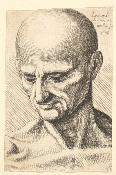 Hoofd van een kale, gespierde man die naar beneden kijkt, 1648 door Wenceslaus Hollar