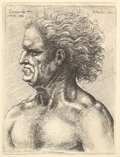 Hoofd van een gespierde oude man in profiel naar links met vloeiend haar, 1625-77 door Wenceslaus Hollar