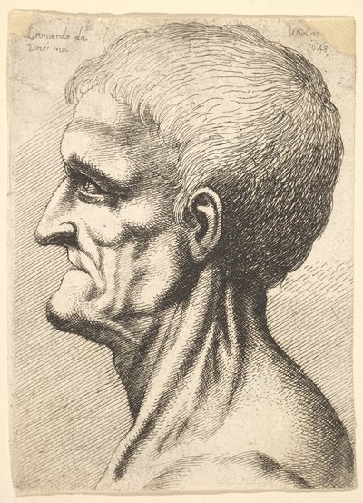 Hoofd van een tandeloze man met blote, pezig nek in profiel naar links, 1648 door Wenceslaus Hollar