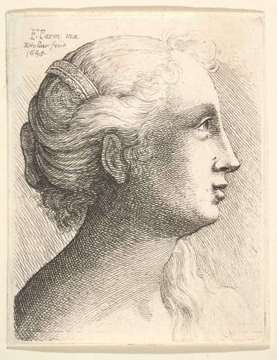 Hoofd van een jonge vrouw in profiel naar rechts, 1645 door Wenceslaus Hollar