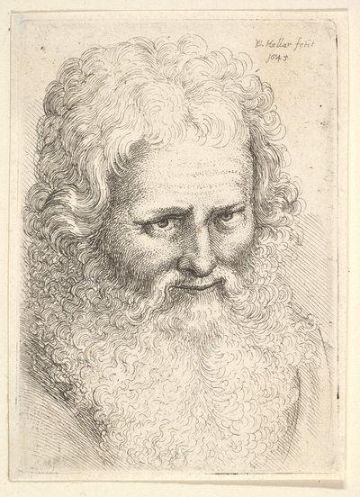 Hoofd van een oude man met een grote baard door Wenceslaus Hollar