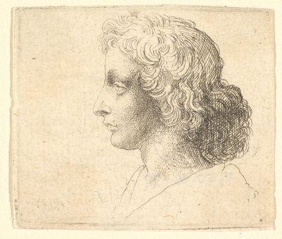 Hoofd van een jonge man met lang haar in profiel naar links, 1644-52 door Wenceslaus Hollar