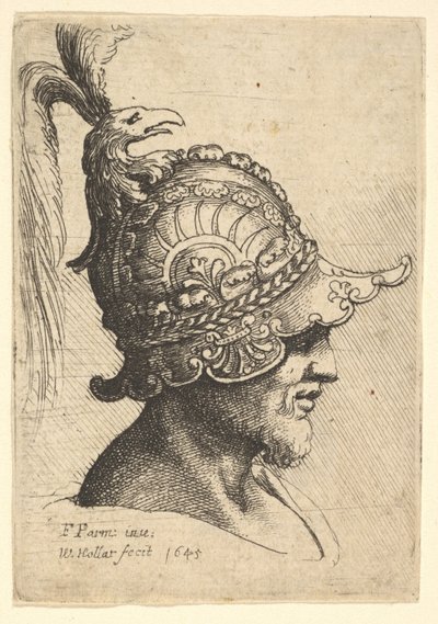 Gepantserde Hoofd met Vogelkop Kam, 1645 door Wenceslaus Hollar