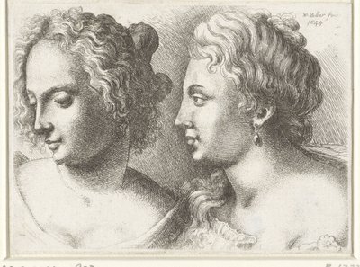 Hoofden van twee jonge vrouwen door Wenceslaus Hollar