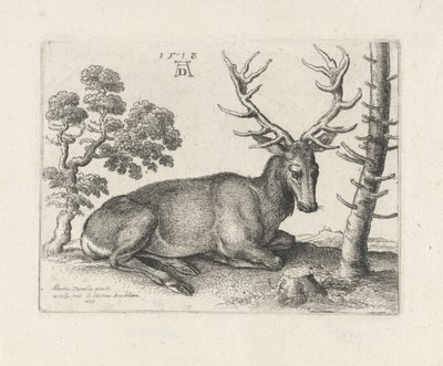 Liggend hert, naar rechts door Wenceslaus Hollar