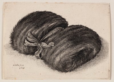 Donkere bontmof met een strikband door Wenceslaus Hollar