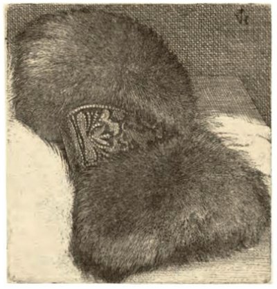 Mof met een Brokaatband door Wenceslaus Hollar