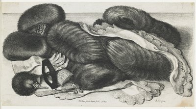 Moffen en kledingstukken op een tafel, 1647 door Wenceslaus Hollar