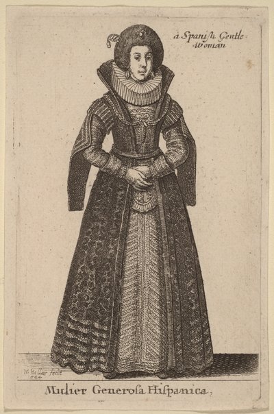  door Wenceslaus Hollar