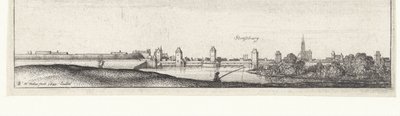 Rivierlandschap met gezicht op Straatsburg door Wenceslaus Hollar