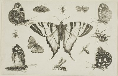 Zwaluwstaartvlinder en Twaalf Andere Insecten door Wenceslaus Hollar