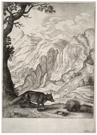 De vos en de stekelvarken door Wenceslaus Hollar