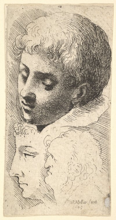 Drie hoofden, 1645 door Wenceslaus Hollar