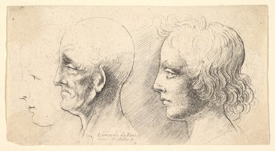 Drie profielhoofden, één alleen in omtrek, 1625-77 door Wenceslaus Hollar