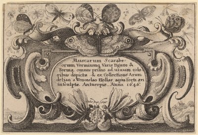Titelpagina door Wenceslaus Hollar