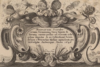 Titelpagina, 1646 door Wenceslaus Hollar