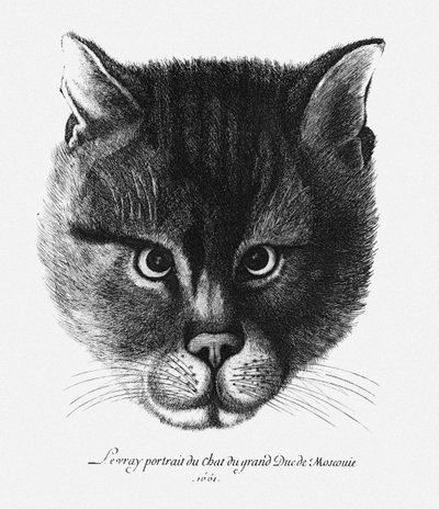 Ware afbeelding van de kat van tsaar Alexis I Mikhailovich van Rusland door Wenceslaus Hollar