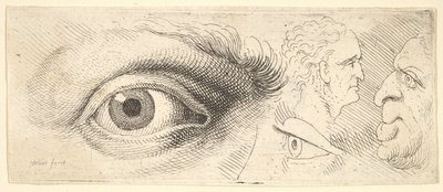 Twee ogen en twee hoofden door Wenceslaus Hollar