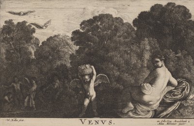 Venus door Wenceslaus Hollar