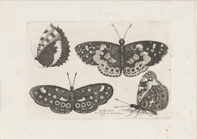 Vier vlinders door Wenceslaus Hollar
