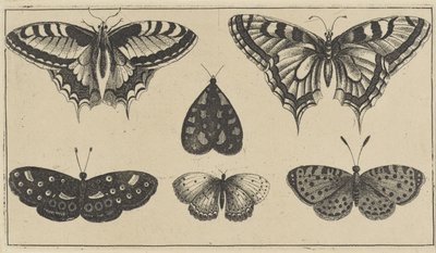 Vijf vlinders en een mot door Wenceslaus Hollar