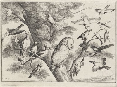 Vogels in een boom door Wenceslaus Hollar