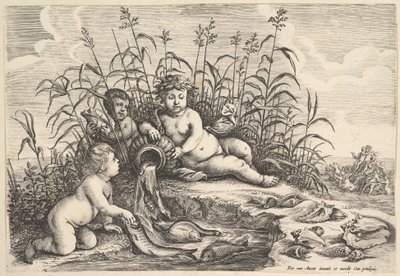 Water De vier elementen, ca. 1647 door Wenceslaus Hollar