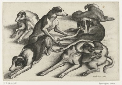 Zes liggende jachthonden door Wenceslaus Hollar