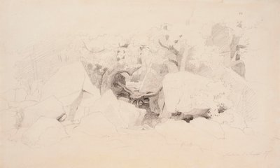 Steenslag in het bos door Werner Holmberg