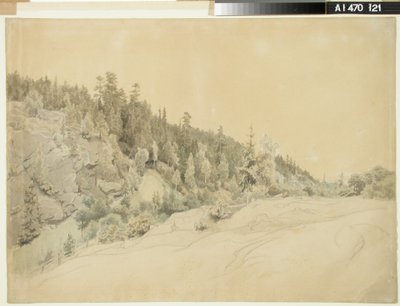 Landschap door Werner Holmberg