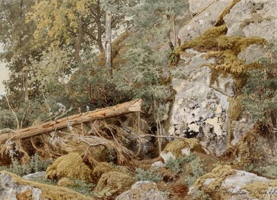 Mosachtige rots in het bos door Werner Holmberg