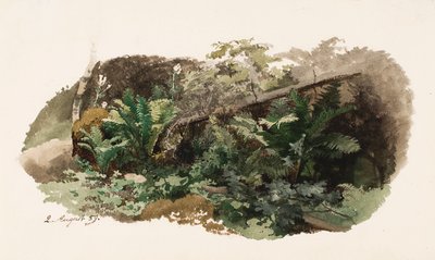 Een dennenboom gevallen op varens ; Een koe (dubbelzijdig werk) door Werner Holmberg