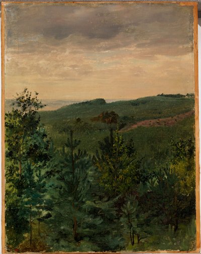 Sparrenzaailingen in zandgrond, studie door Werner Holmberg