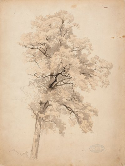  door Werner Holmberg