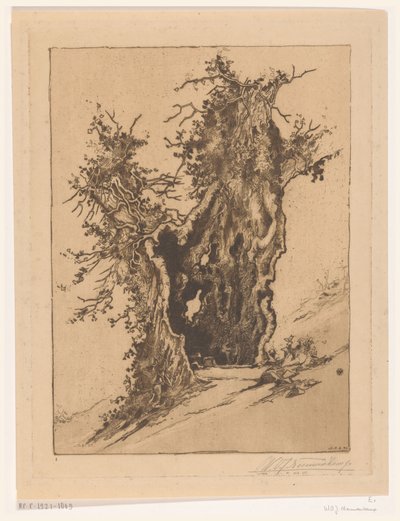 Holle boom bij Seelisberg in Zwitserland door Wijnand Otto Jan Nieuwenkamp (signed by artist)