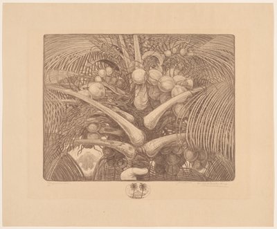 Top van een kokospalm door Wijnand Otto Jan Nieuwenkamp (signed by artist)