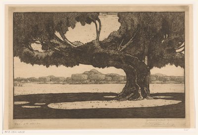 Waringinbomen in de tuin van het paleis van de sultan in Jogyakarta door Wijnand Otto Jan Nieuwenkamp (signed by artist)